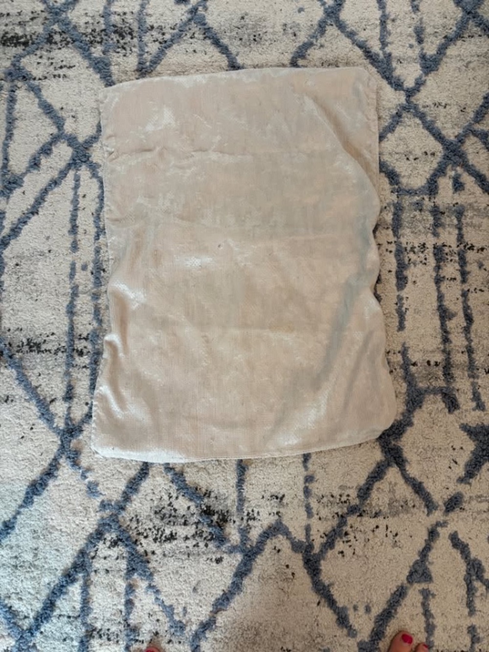 2 Piece Vera Wang golden brown Pillow Cases